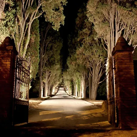 Cipressi By Victoria Palace